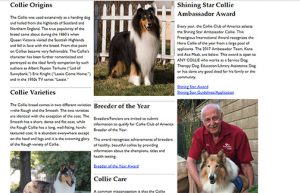 Collie Club of America home page