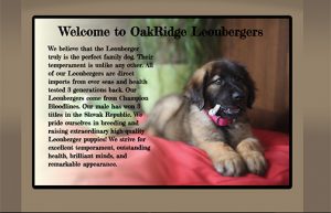 Oakridge home page